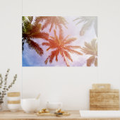 Kokospalmenbaum mit Sonnenlicht Poster (Küche)