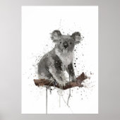 Kolabär Poster (Vorne)