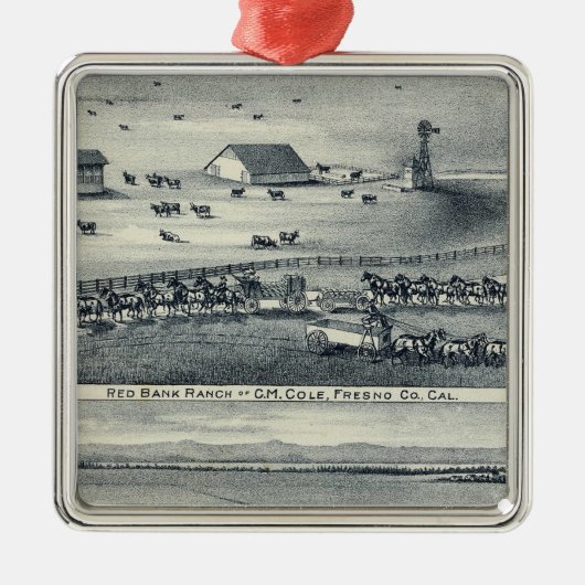 Kole Ranglisten Ornament Aus Metall (Vorne)