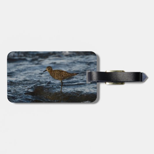 Kolea Stehend im Wasser Gepäckanhänger (Rückseite horizontal)