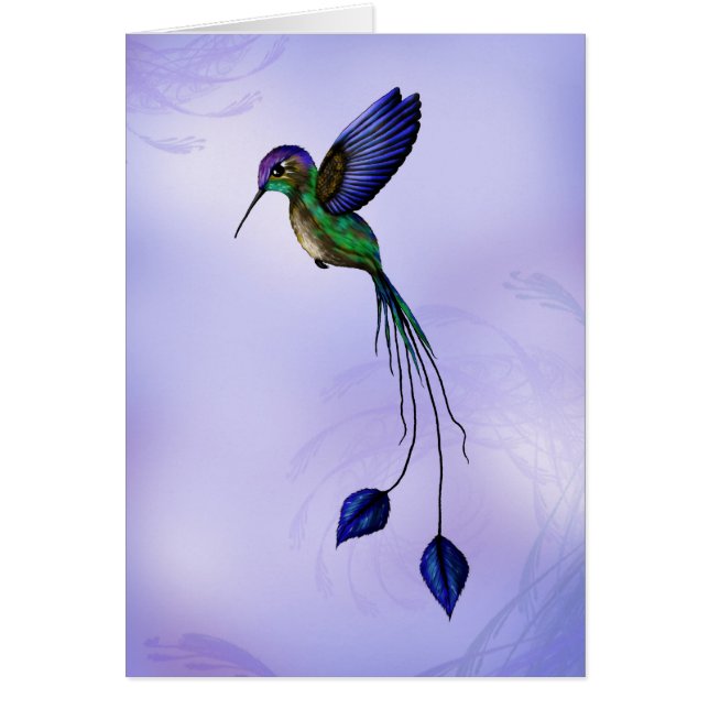 Kolibri (Vorne)