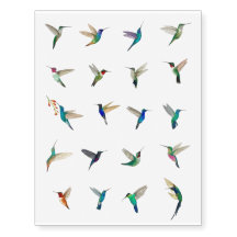 Kolibri