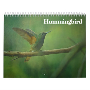 Kolibri 2027 kalender