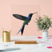 Kolibri Acrylschild (Hochzeit)