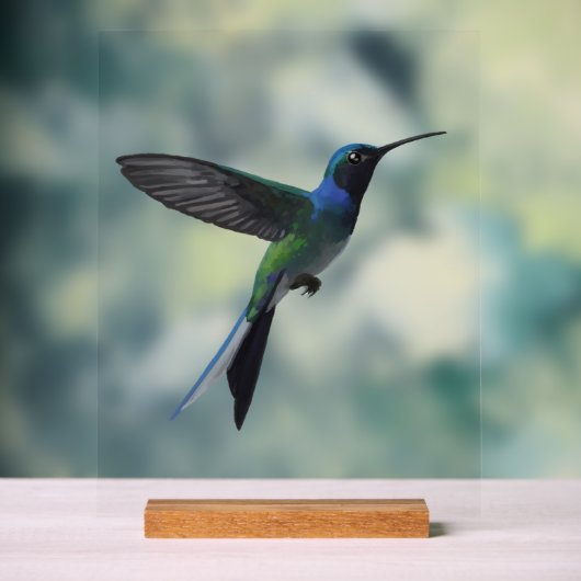 Kolibri Acrylschild (Neutral)