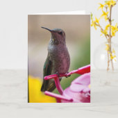 Kolibri-Anmerkungs-Karte Karte (Gelbe Blume)
