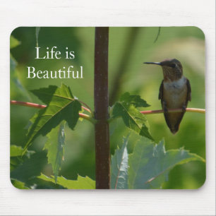 Kolibri auf Ast (Foto von mir) Mousepad