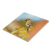 Kolibri auf Niederlassung Fliese (Seite)