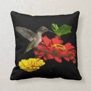 Kolibri auf Zinnias Kissen