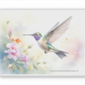 Kolibri Aufkleber (Vorderseite)