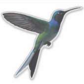 Kolibri Aufkleber (Vorderseite)