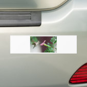 Kolibri Autoaufkleber (Auf Auto)