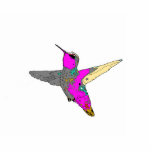 Kolibri-Baum-Verzierung<br><div class="desc">Niedlich, Digital gemalt von der Fotografie, heißes Rosa Annas vom Kolibri-Weihnachtsbaum oder von hängender Verzierung. Verzierungs-Foto-Skulptur.</div>
