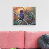 Kolibri bei Sonnenuntergang Leinwand (Insitu (Wohnzimmer))