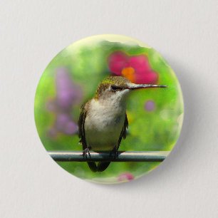 Kolibri Button