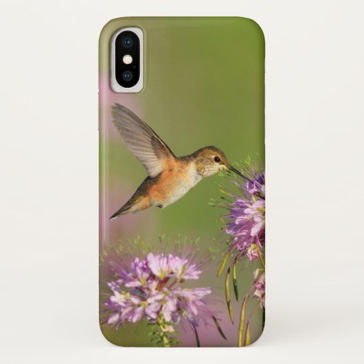 Kolibri Case-Mate iPhone Hülle (Rückseite)
