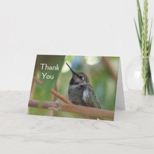 Kolibri danken Ihnen zu kardieren Dankeskarte