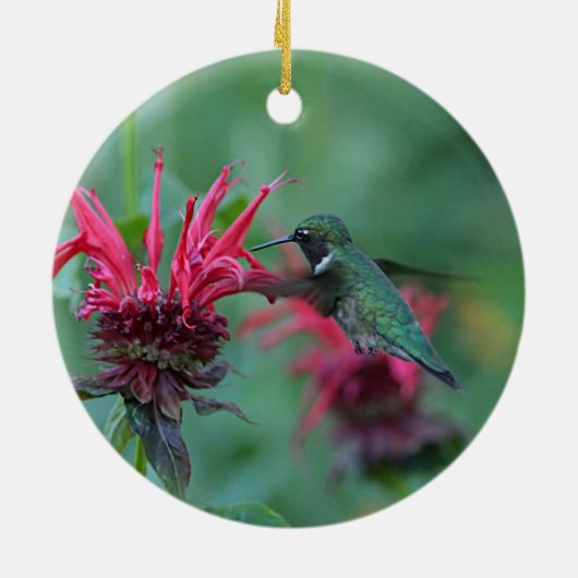 Kolibri, der auf rosa Blumen füttert Keramikornament (Hinten)