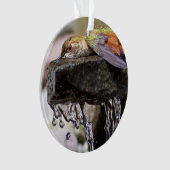 Kolibri, der in Wasser legt Ornament (Vorderseite)