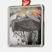Kolibri, der in Wasser legt Silbernes Ornament (Links)