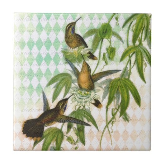 Kolibri Digital Art Fliese (Vorderseite)