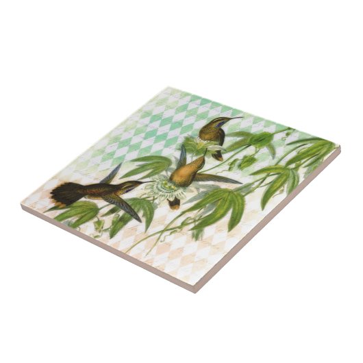 Kolibri-Digital-Kunst Fliese (Seite)