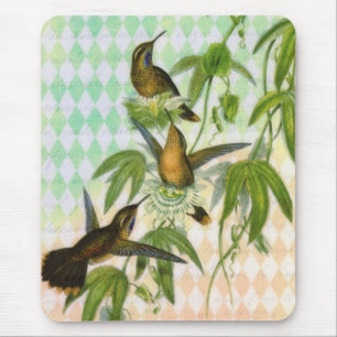 Kolibri Digitale Kunst Mousepad