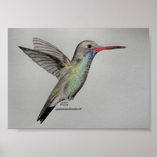 Kolibri - Druck Poster (Vorne)