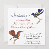 Kolibri-Einladung - 6 schöne Kolibris Einladung (Rückseite)