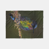 Kolibri Fleecedecke (Vorderseite (Horizontal))