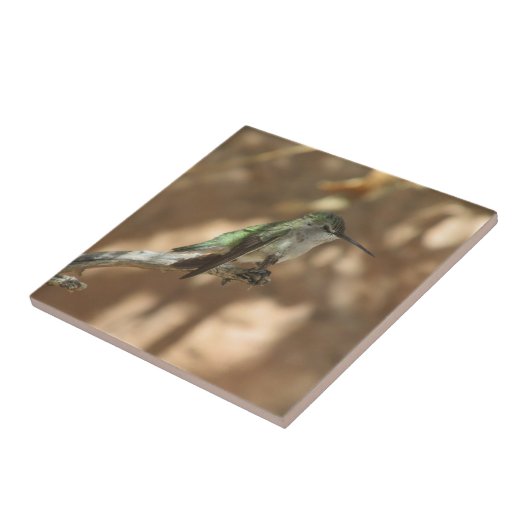 Kolibri Fliese (Seite)