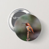 Kolibri-Foto Button (Vorne & Hinten)