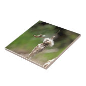 Kolibri-Gebäude ein Nest Fliese (Seite)