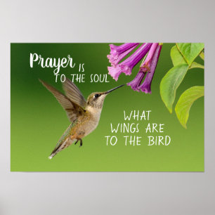 Kolibri-Gebet ist für die Seele Poster