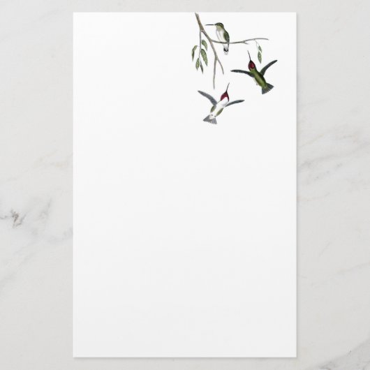 Kolibri gerecyceltes Briefpapier (Vorderseite)