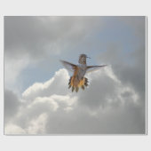 KOLIBRI GESCHENKPAPIER (Flach)