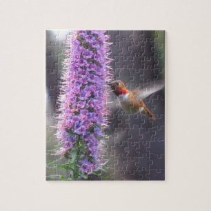 Kolibri - glücklich puzzle