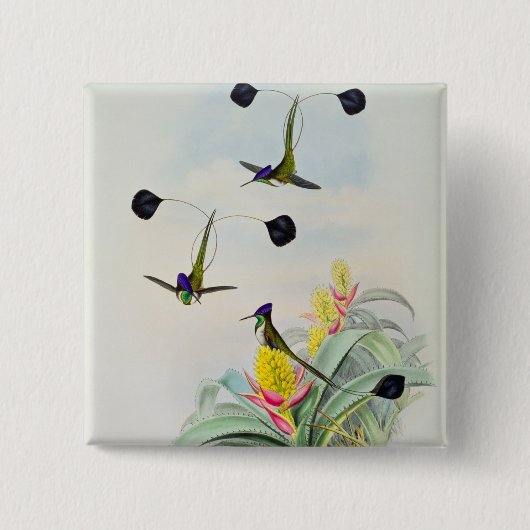 Kolibri, graviert durch Walter und Cohn Button (Vorderseite)
