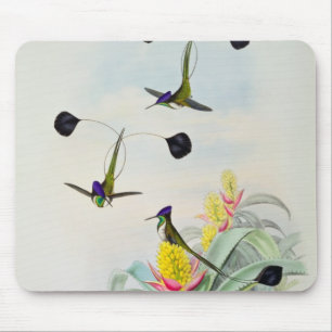 Kolibri, graviert durch Walter und Cohn Mousepad