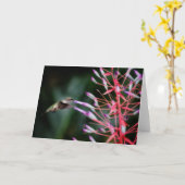 Kolibri-Gruß-Karte Karte (Gelbe Blume)