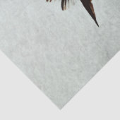 Kolibri (i) seidenpapier (Detail)