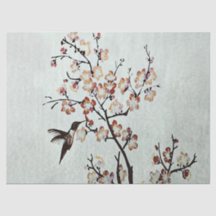 Kolibri (i) seidenpapier