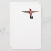 Kolibri im Flug Briefpapier (Vorne/Hinten)