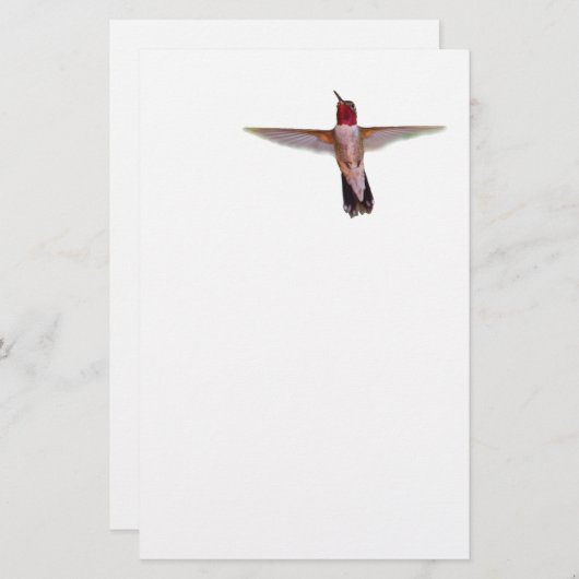 Kolibri im Flug Briefpapier (Vorne/Hinten)