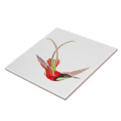 Kolibri im Flug Fliese (Seite)