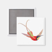Kolibri im Flug Magnet (Vorderseite/Rückseite)