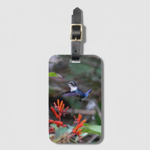 Kolibri im Flug und rote Blumen Gepäckanhänger