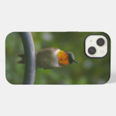 Kolibri iPhone Hülle (Rückseite (Horizontal))