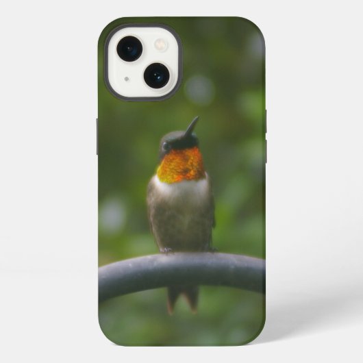 Kolibri iPhone Hülle (Rückseite)