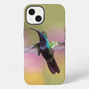 Kolibri iPhone 13 hülle